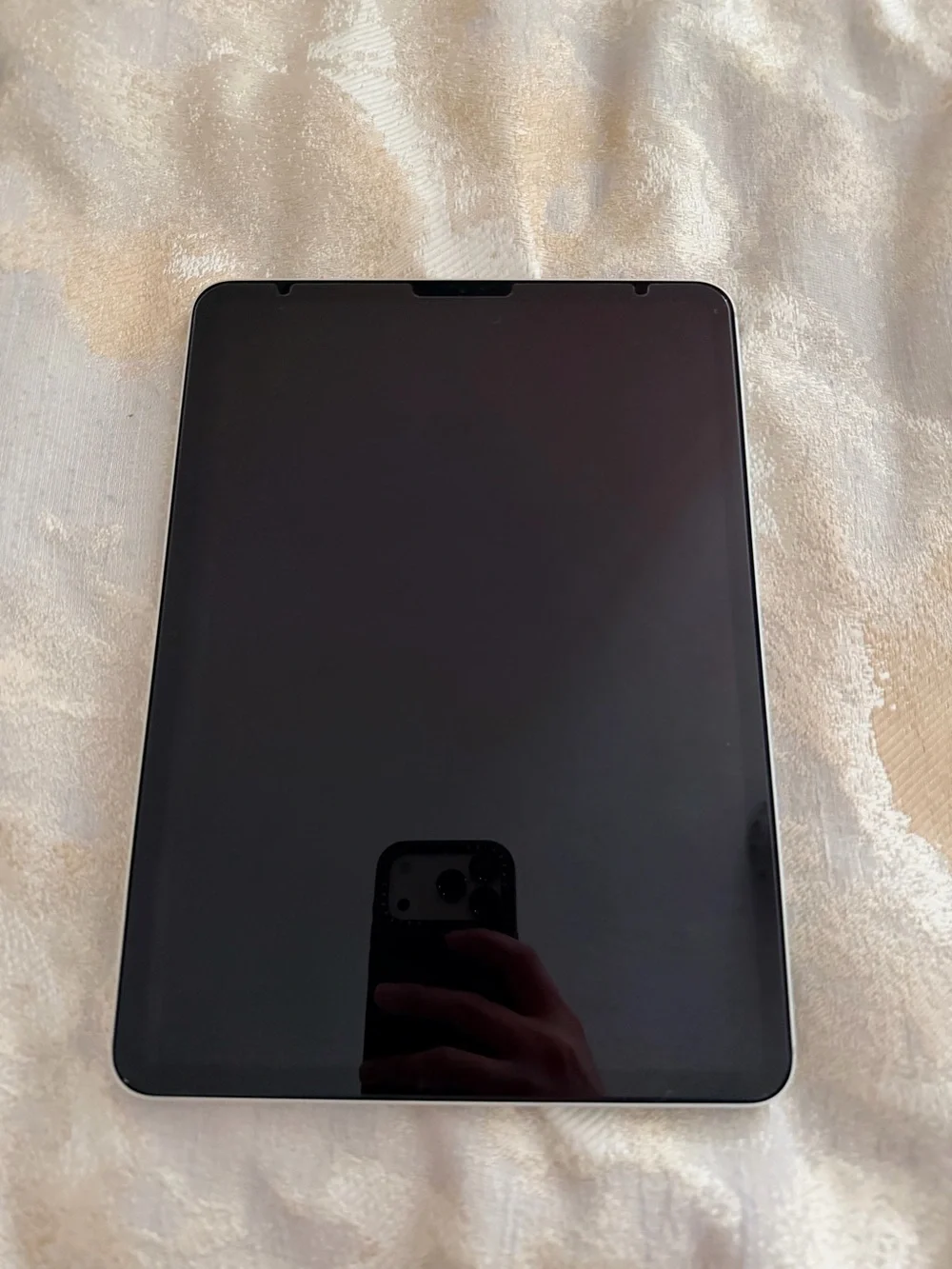 Cellular Network Apple iPad 1st Gen 2018 256GB in Silver